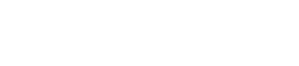 Din Busstur